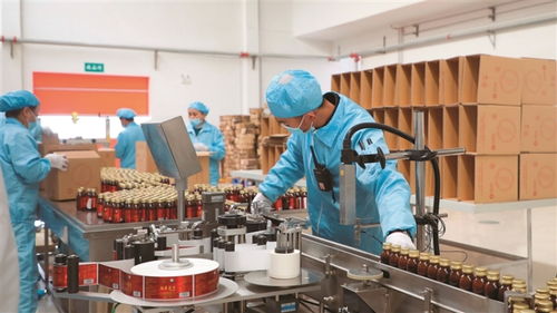 岢嵐 用 千萬工程 經(jīng)驗(yàn)繪寫和美